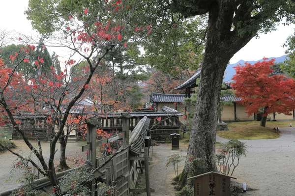 Byodo bahçe içinde tapınak Kyoto, Japonya — Stok fotoğraf