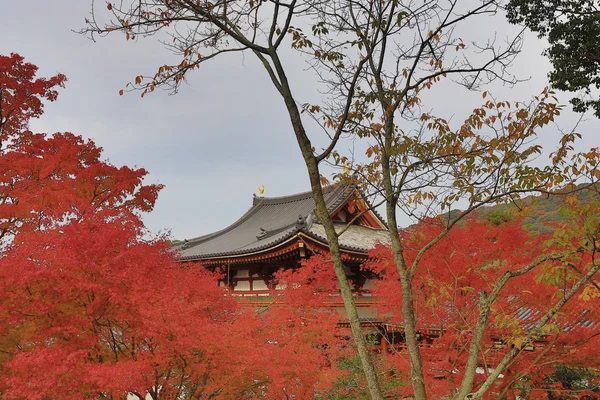 Jardim do Templo Byodo-in em Kyoto, Japão — Fotografia de Stock