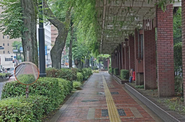 緑の木々 と都市道路 — ストック写真