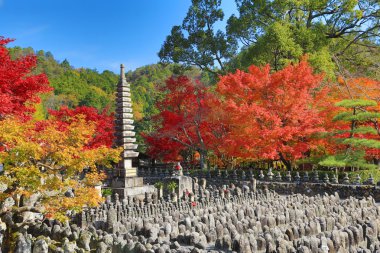 Sonbahar yaprakları, Adashino anlayışımız-ji Buda heykelinin