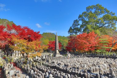 Sonbahar yaprakları, Adashino anlayışımız-ji Buda heykelinin