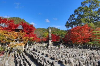 Sonbahar yaprakları, Adashino anlayışımız-ji Buda heykelinin