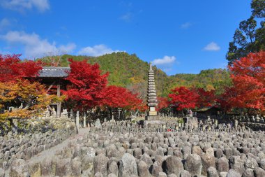 Sonbahar yaprakları, Adashino anlayışımız-ji Buda heykelinin