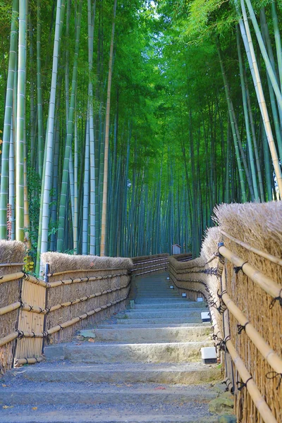 Διάσημο μπαμπού grove στο Nenbutsu-ji — Φωτογραφία Αρχείου