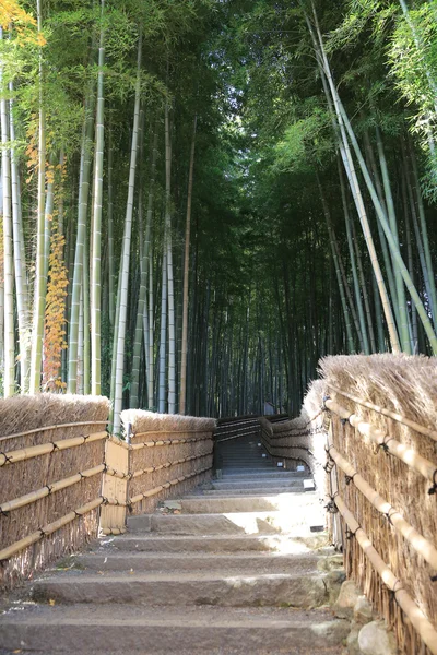 Berühmter Bambushain bei nenbutsu-ji — Stockfoto