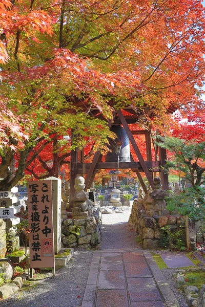 Sonbahar yaprakları Adashino anlayışımız-ji