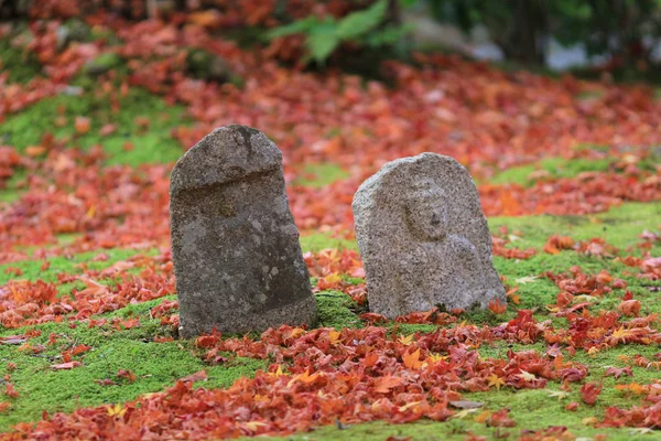 Podzimní listy z Adashino Nenbutsu-ji z socha Buddhy — Stock fotografie