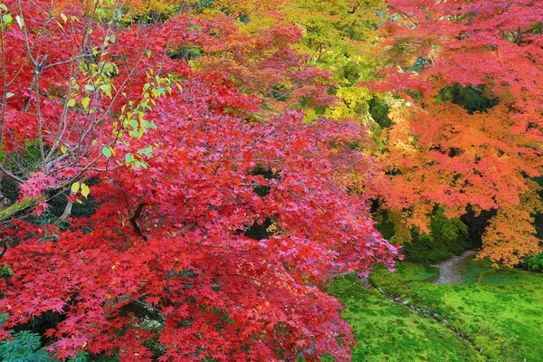 Jardin zen à la saison d'automne au Japon à Rurikoin — Photo
