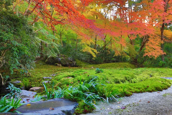 Giardino zen nella stagione autunnale in Giappone a Rurikoin — Foto Stock