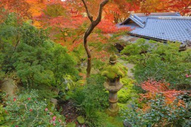 Zen Bahçesi Sonbahar sezonu Rurikoin, Japonya