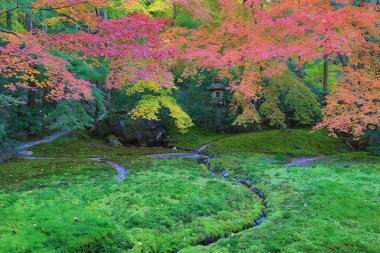 Zen Bahçesi Sonbahar sezonu Rurikoin, Japonya