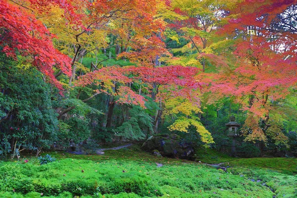 Zen garden at fall season at japan at Rurikoin — Stock Photo, Image