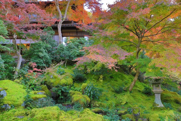 Сад Дзен осенью в Японии в Рюрикоине — стоковое фото