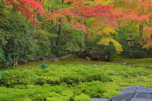 在秋天的季节，在 Rurikoin 在日本禅宗花园 — 图库照片