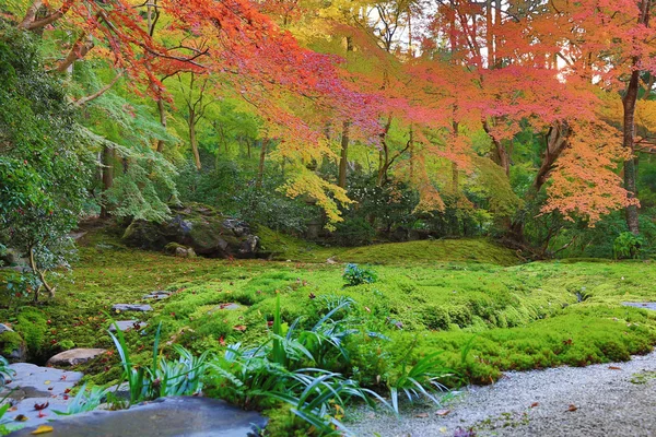 Giardino zen nella stagione autunnale in Giappone a Rurikoin — Foto Stock