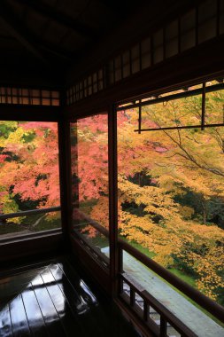 Rurikoin, tek bir pencereden görüntülendi? Zen Bahçe.