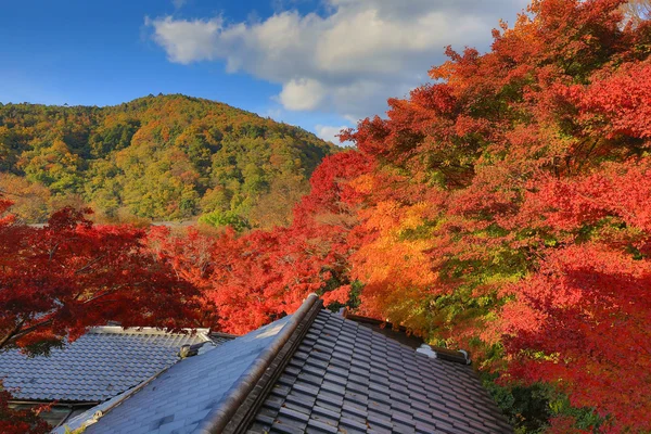 Japanese style building with autumn leaves at Rurikoin — Stock Photo, Image