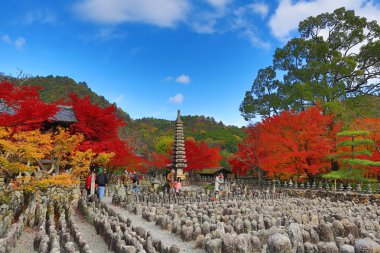 Sonbahar yaprakları, Adashino anlayışımız-ji Buda heykelinin