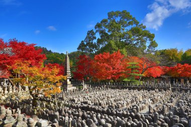Sonbahar yaprakları, Adashino anlayışımız-ji Buda heykelinin