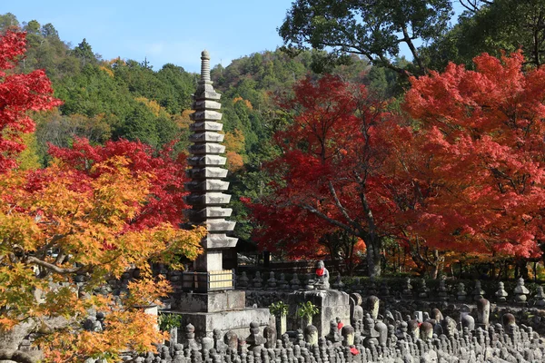 Autumn Leaves Of Adashino Nenbutsu-ji of Buddha statue — Stock Photo, Image