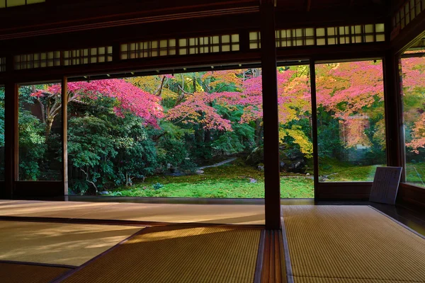 Zen jardín en Rurikoin, todo visto a través de una ventana . — Foto de Stock