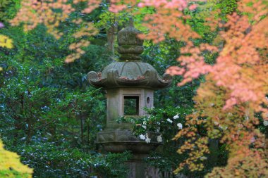 Zen Bahçesi Sonbahar sezonu Rurikoin, Japonya
