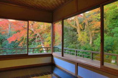 Rurikoin, tek bir pencereden görüntülendi? Zen Bahçe.