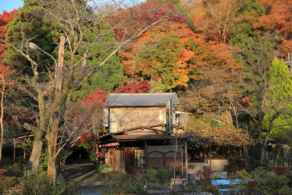 秋天。在 Yasehieizanguchi 的秋天 — 图库照片