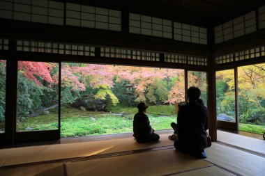 Rurikoin, tek bir pencereden görüntülendi? Zen Bahçe.