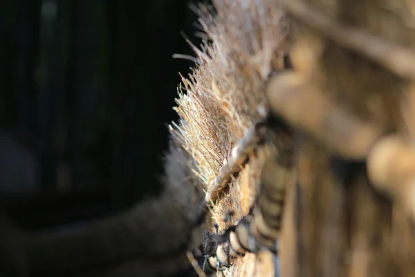 Famoso bosque de bambú en Nenbutsu-ji — Foto de Stock