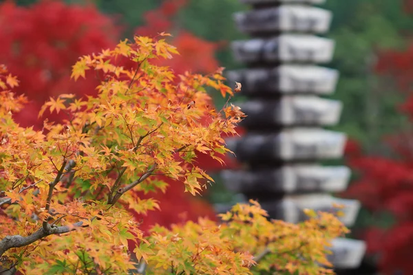 在京都的石灯笼 — 图库照片