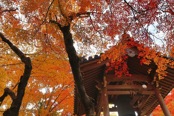 Deva Jojakukoji Tapınağı'nda sezon sonbahar — Stok fotoğraf