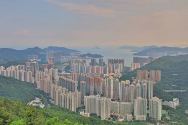 Önemsiz yuva, Tseung Kwan O yuva 2016