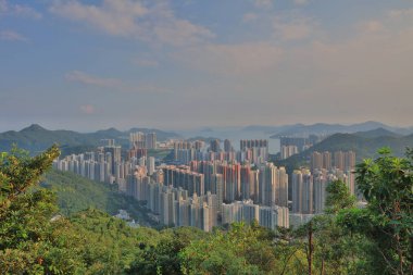 Önemsiz yuva, Tseung Kwan O yuva 2016