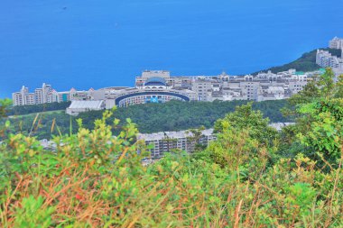Hong Kong Üniversitesi bilim ve teknoloji 