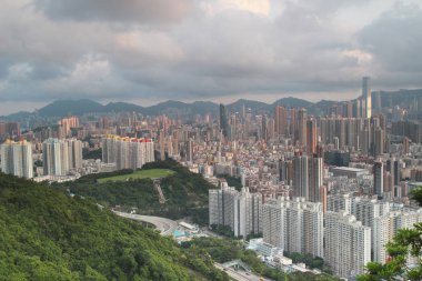 Dikey yaşam, Kowloon yerleşik yapı