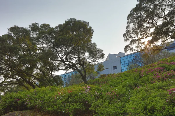 Universidade de Ciência e Tecnologia de Hong Kong — Fotografia de Stock