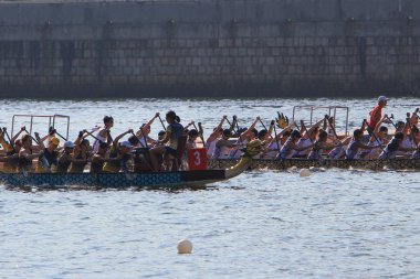 Hong Kong Dragon Tekne Şampiyonası