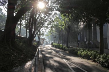 Manzara altın güneş ışını ile vurdu