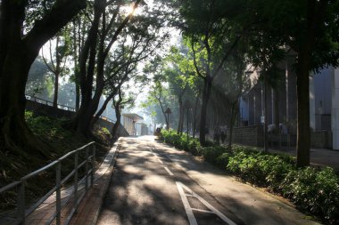 Manzara altın güneş ışını ile vurdu