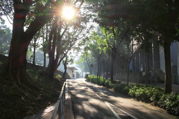 Landscape shot with the gold sun ray