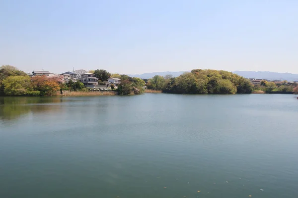 自然池塘, 大阪, 日本 — 图库照片