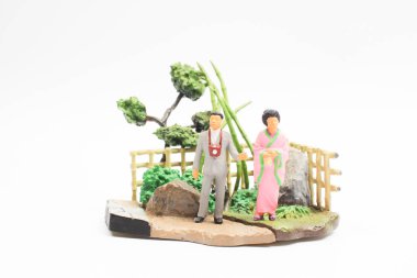 Japonya tarzı şekil bahçesi ile 