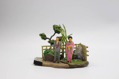 Japonya tarzı şekil bahçesi ile 