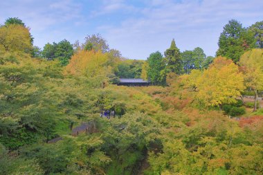 Tofukuji Tapınağı'nda Tsutenkyo Köprüsü