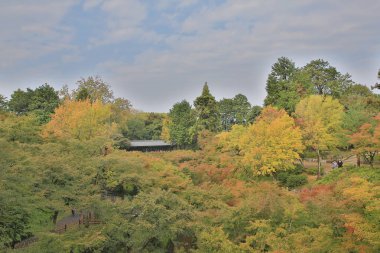 Tofukuji Tapınağı'nda Tsutenkyo Köprüsü