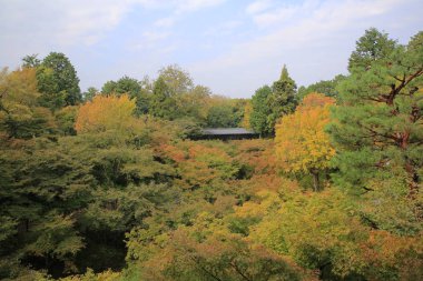 Tofukuji Tapınağı'nda Tsutenkyo Köprüsü