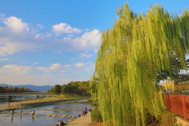 Sonbahar seaon Kyoto, Japonya Kamo Nehri