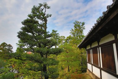 Tofukuji Tapınağı: Kyoto, Japan