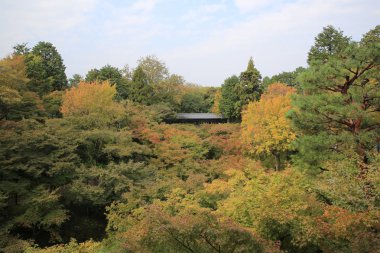 Tofukuji Tapınağı'nda Tsutenkyo Köprüsü